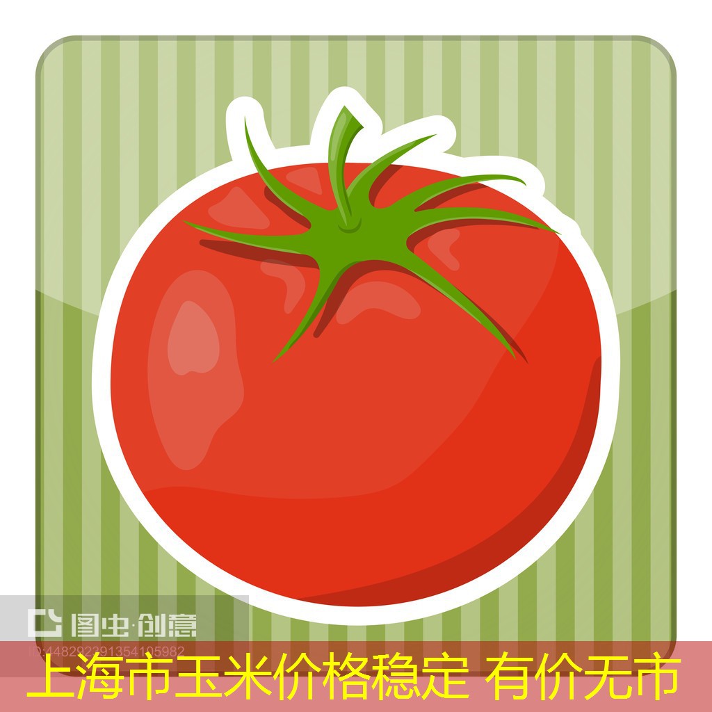 上海市玉米价格稳定 有价无市