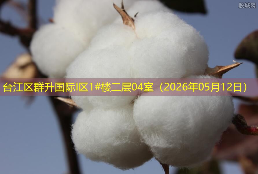 台江区群升国际I区1#楼二层04室（2026年05月12日）