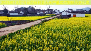 2025年12月15日尼日利亚大米产量或将刷新历史记录