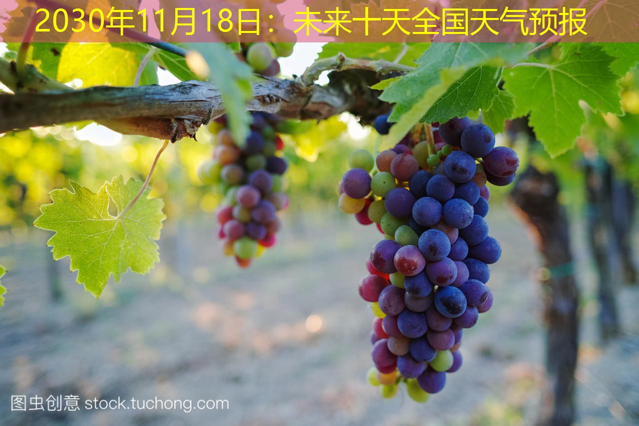 2030年11月18日：未来十天全国天气预报