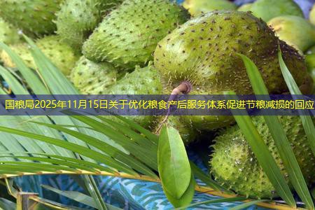 国粮局2025年11月15日关于优化粮食产后服务体系促进节粮减损的回应
