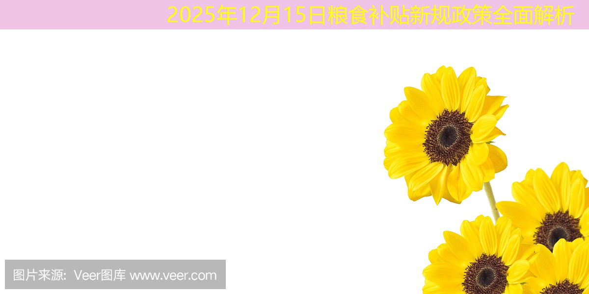 2025年12月15日粮食补贴新规政策全面解析