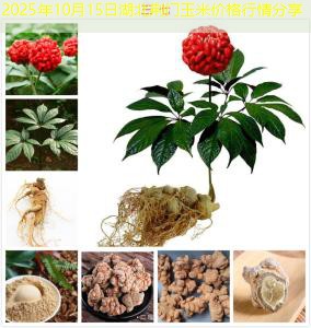 2025年10月15日湖北荆门玉米价格行情分享