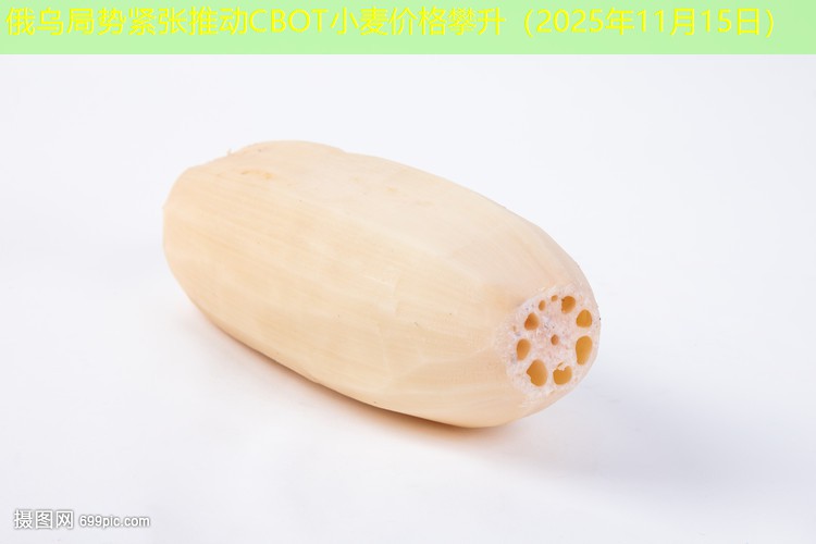 俄乌局势紧张推动CBOT小麦价格攀升（2025年11月15日）