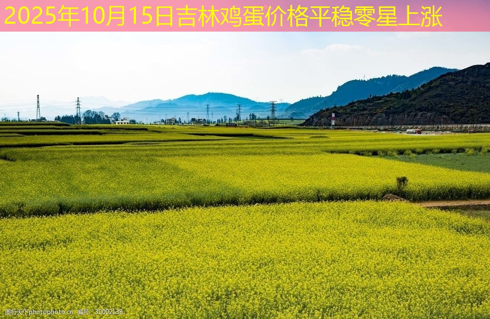 2025年10月15日吉林鸡蛋价格平稳零星上涨