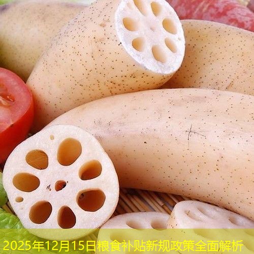2025年12月15日粮食补贴新规政策全面解析