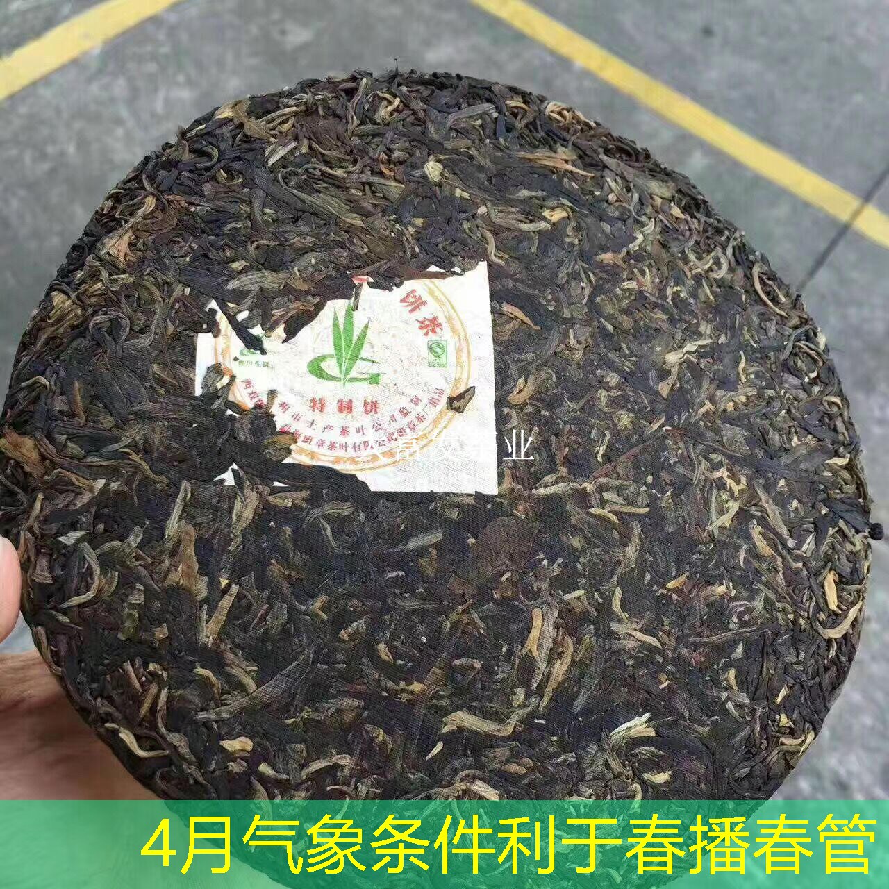 4月气象条件利于春播春管