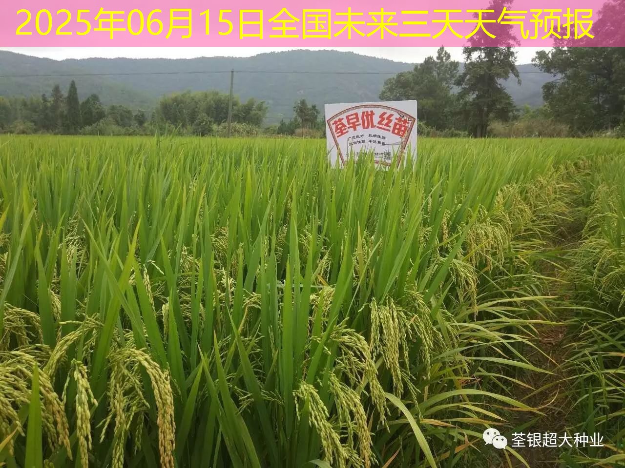 2025年06月15日全国未来三天天气预报