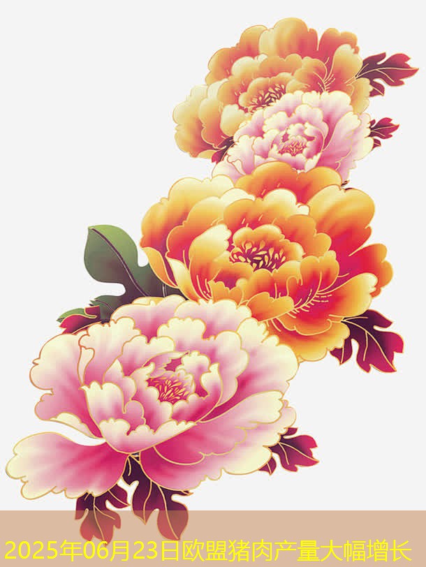 2025年06月23日欧盟猪肉产量大幅增长