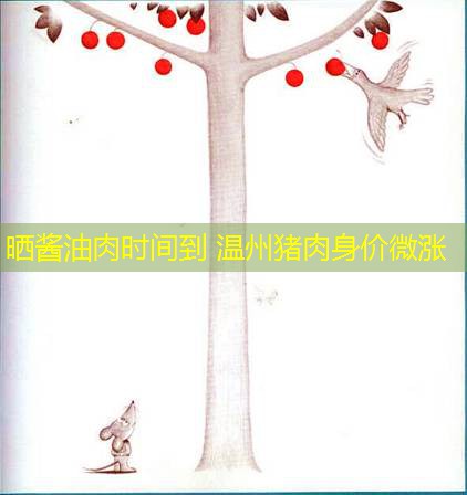 晒酱油肉时间到 温州猪肉身价微涨