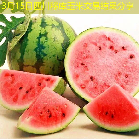 3月15日四川移库玉米交易结果分享