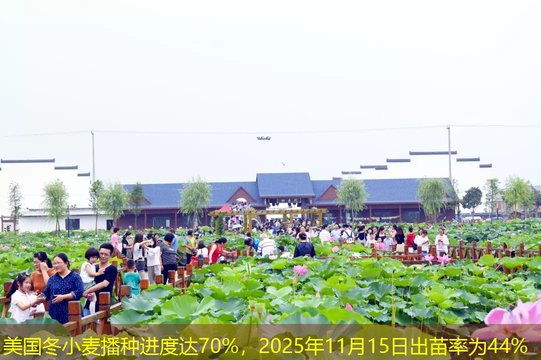 美国冬小麦播种进度达70%，2025年11月15日出苗率为44%