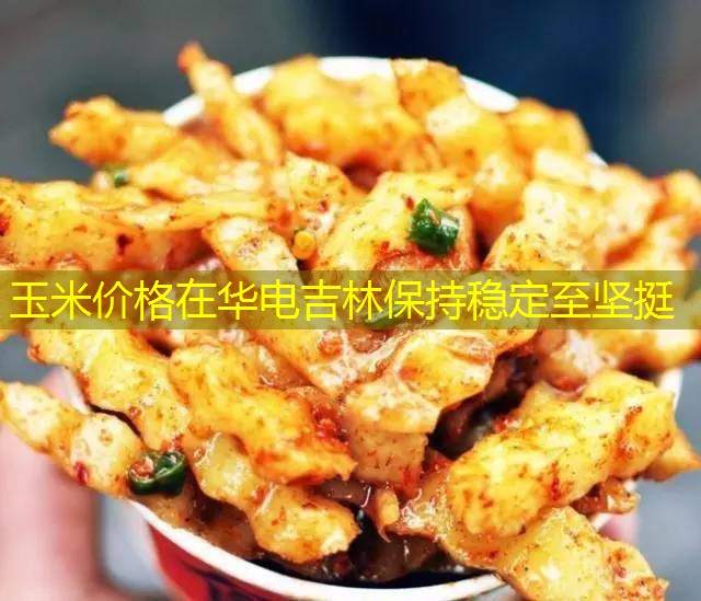 玉米价格在华电吉林保持稳定至坚挺