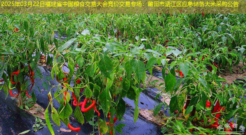 2025年03月22日福建省中国粮食交易大会竞价交易专场：莆田市涵江区应急储备大米采购公告