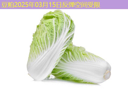 豆粕2025年03月15日反弹空间受限