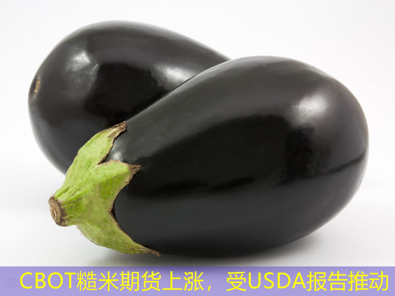 CBOT糙米期货上涨，受USDA报告推动