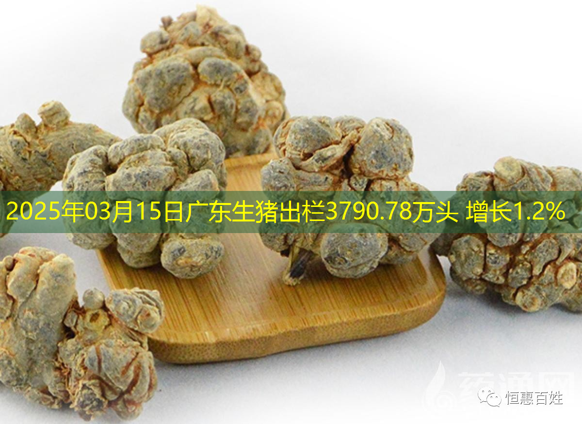 2025年03月15日广东生猪出栏3790.78万头 增长1.2%