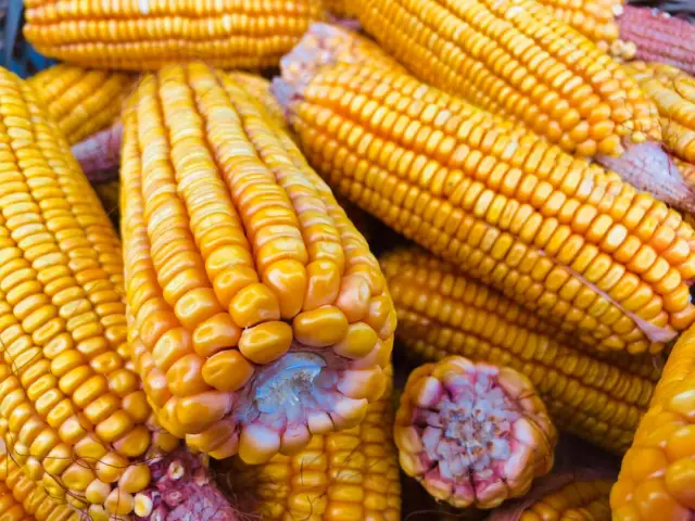 2025年11月18日吉林鸡蛋价格稳中有涨