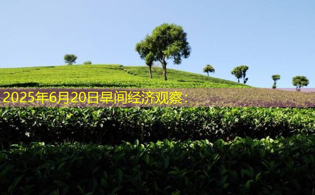 2025年6月20日早间经济观察：