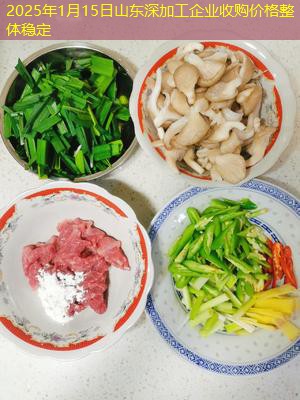 2025年1月15日山东深加工企业收购价格整体稳定