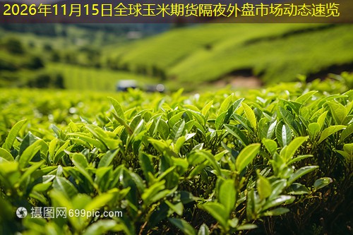 2026年11月15日全球玉米期货隔夜外盘市场动态速览