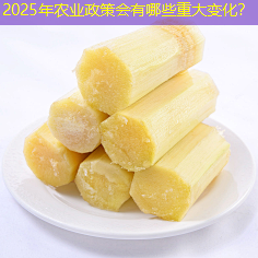 2025年农业政策会有哪些重大变化？