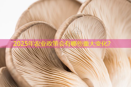 2025年农业政策会有哪些重大变化？