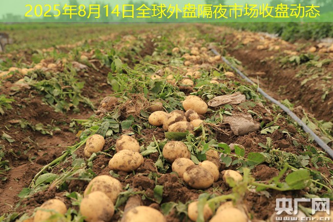 2025年8月14日全球外盘隔夜市场收盘动态