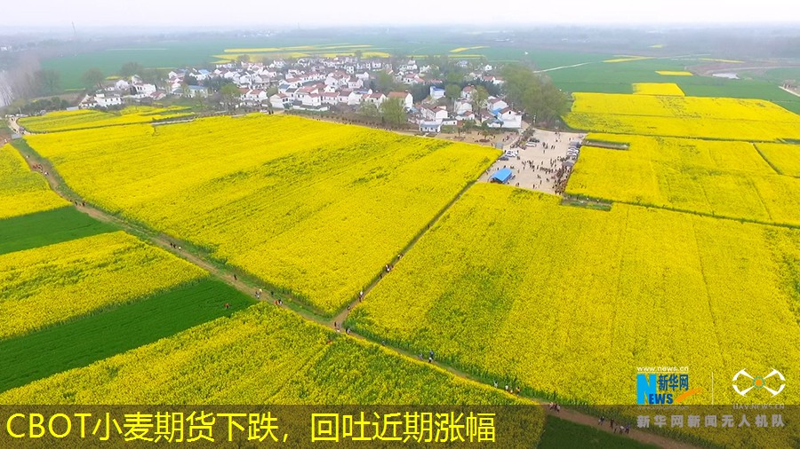 CBOT小麦期货下跌，回吐近期涨幅