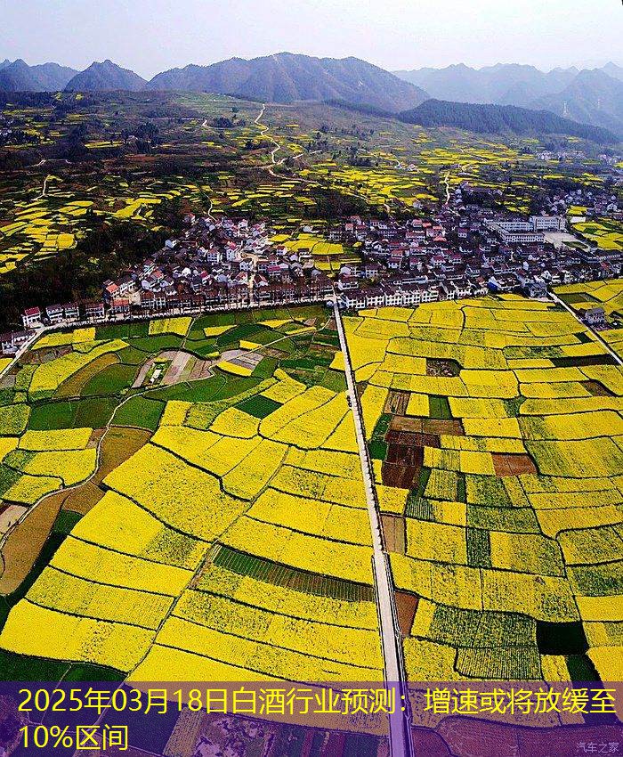2025年03月18日白酒行业预测：增速或将放缓至10%区间