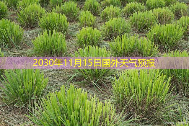 2030年11月15日国外天气预报
