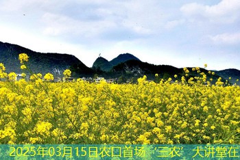 2025年03月15日农口首场‘三农’大讲堂在