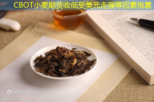 CBOT小麦期货收低受美元走强等因素拖累