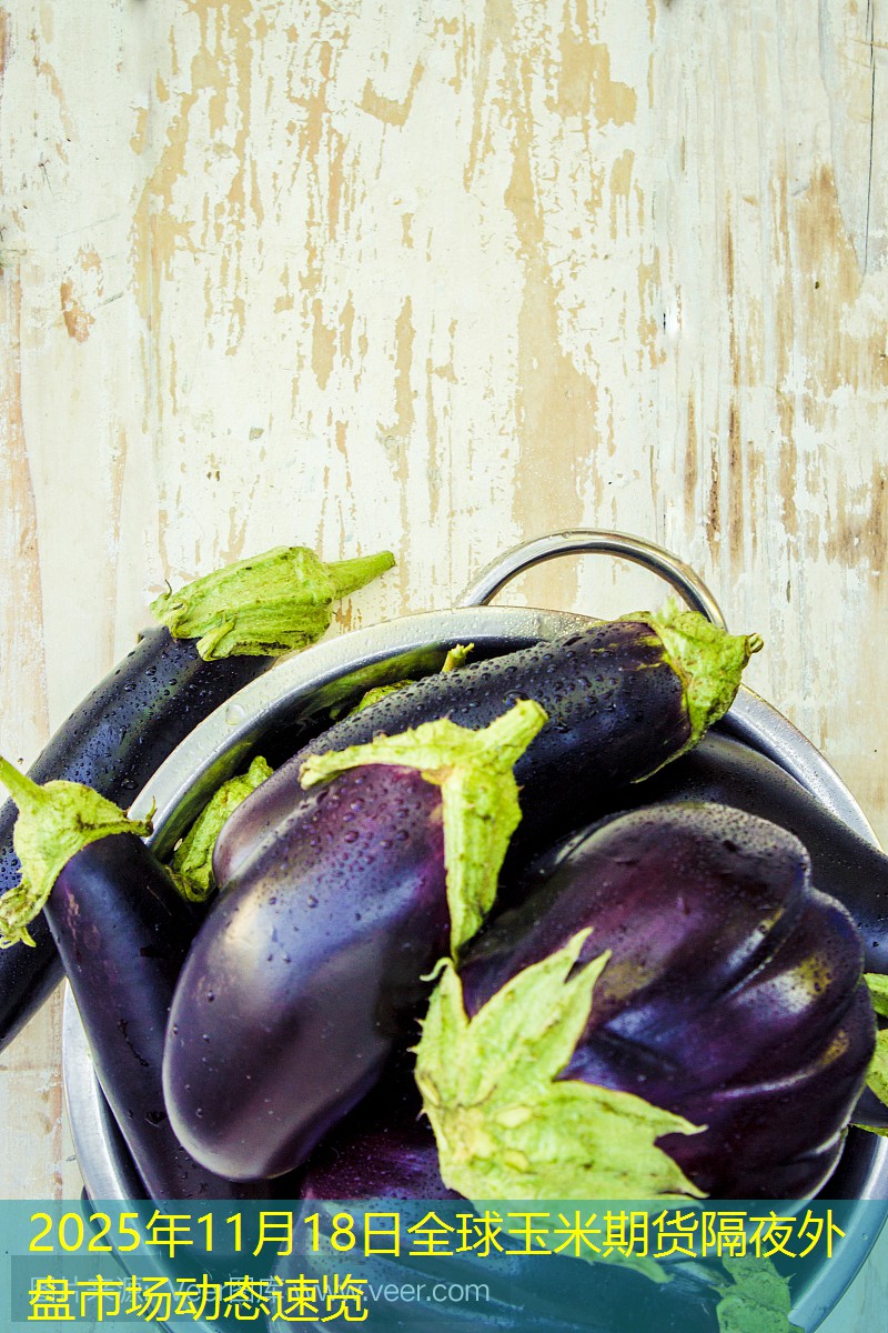 2025年11月18日全球玉米期货隔夜外盘市场动态速览