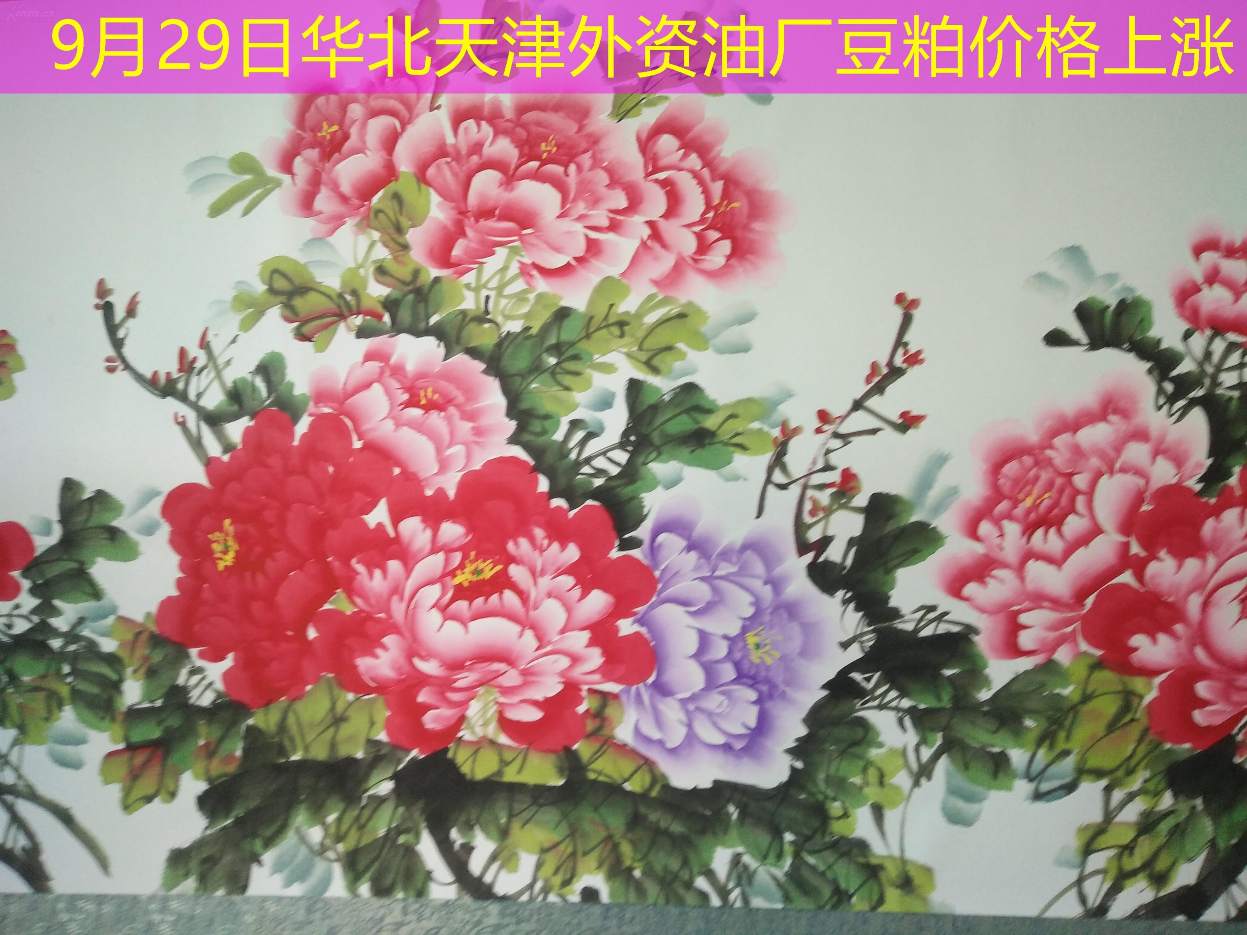 9月29日华北天津外资油厂豆粕价格上涨