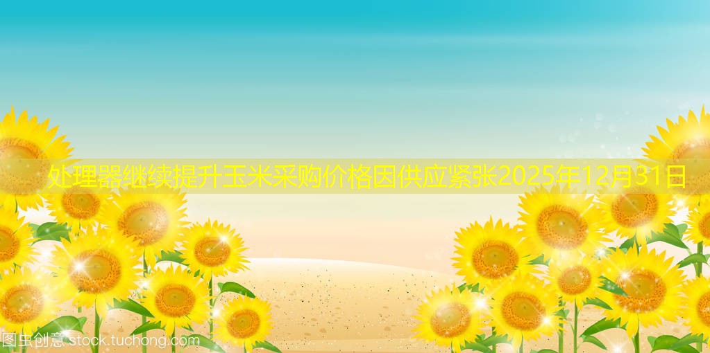 处理器继续提升玉米采购价格因供应紧张2025年12月31日