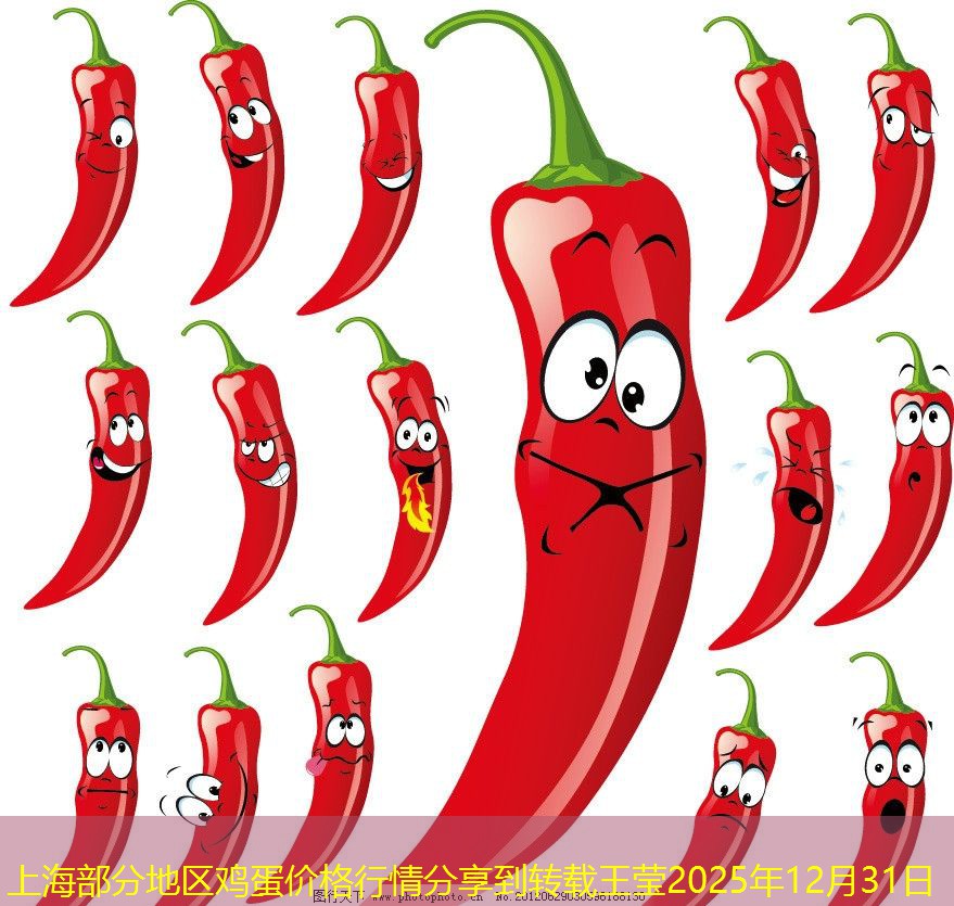 上海部分地区鸡蛋价格行情分享到转载王莹2025年12月31日