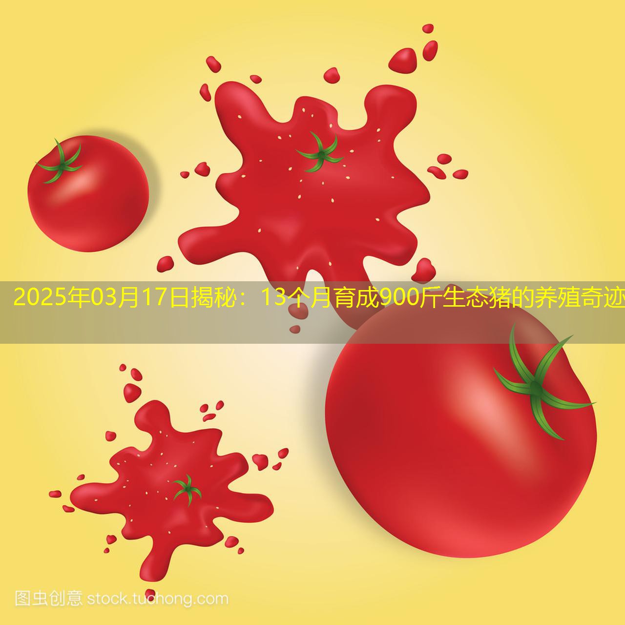 2025年03月17日揭秘：13个月育成900斤生态猪的养殖奇迹