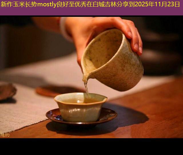 新作玉米长势mostly良好至优秀在白城吉林分享到2025年11月23日