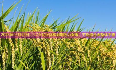2025年03月22日：1.7万亿逆回购到期压力有限，节后资金面整体平稳