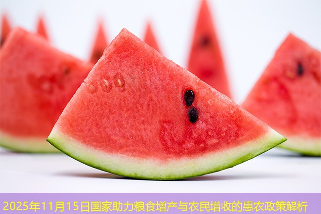 2025年11月15日国家助力粮食增产与农民增收的惠农政策解析