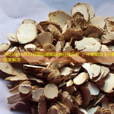 2025年11月23日国际粮船运费行情分析 ｜ 中粮期货王丹娜深度解读