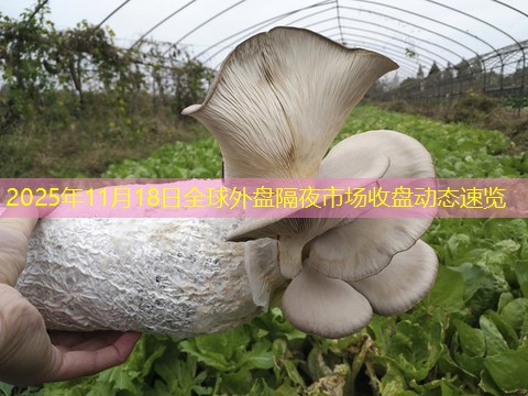 2025年11月18日全球外盘隔夜市场收盘动态速览