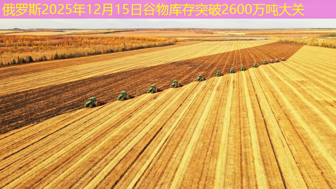 俄罗斯2025年12月15日谷物库存突破2600万吨大关