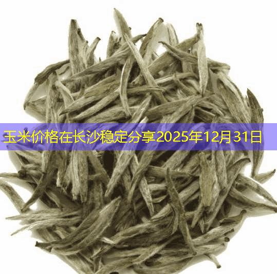 玉米价格在长沙稳定分享2025年12月31日