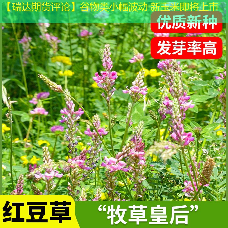 【瑞达期货评论】谷物类小幅波动 新玉米即将上市