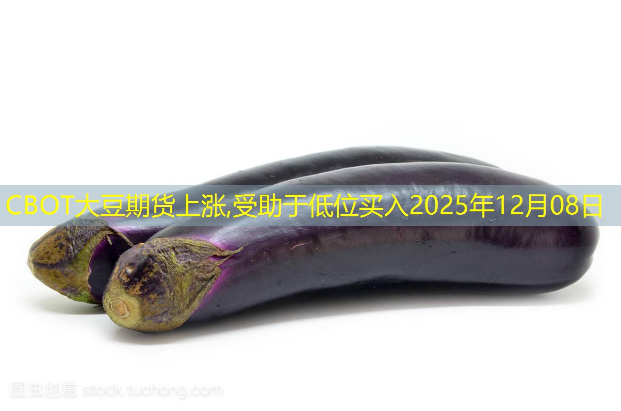 CBOT大豆期货上涨,受助于低位买入2025年12月08日