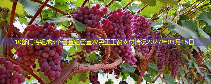 10部门将组成5个督查组督查农民工工资支付情况2027年03月15日