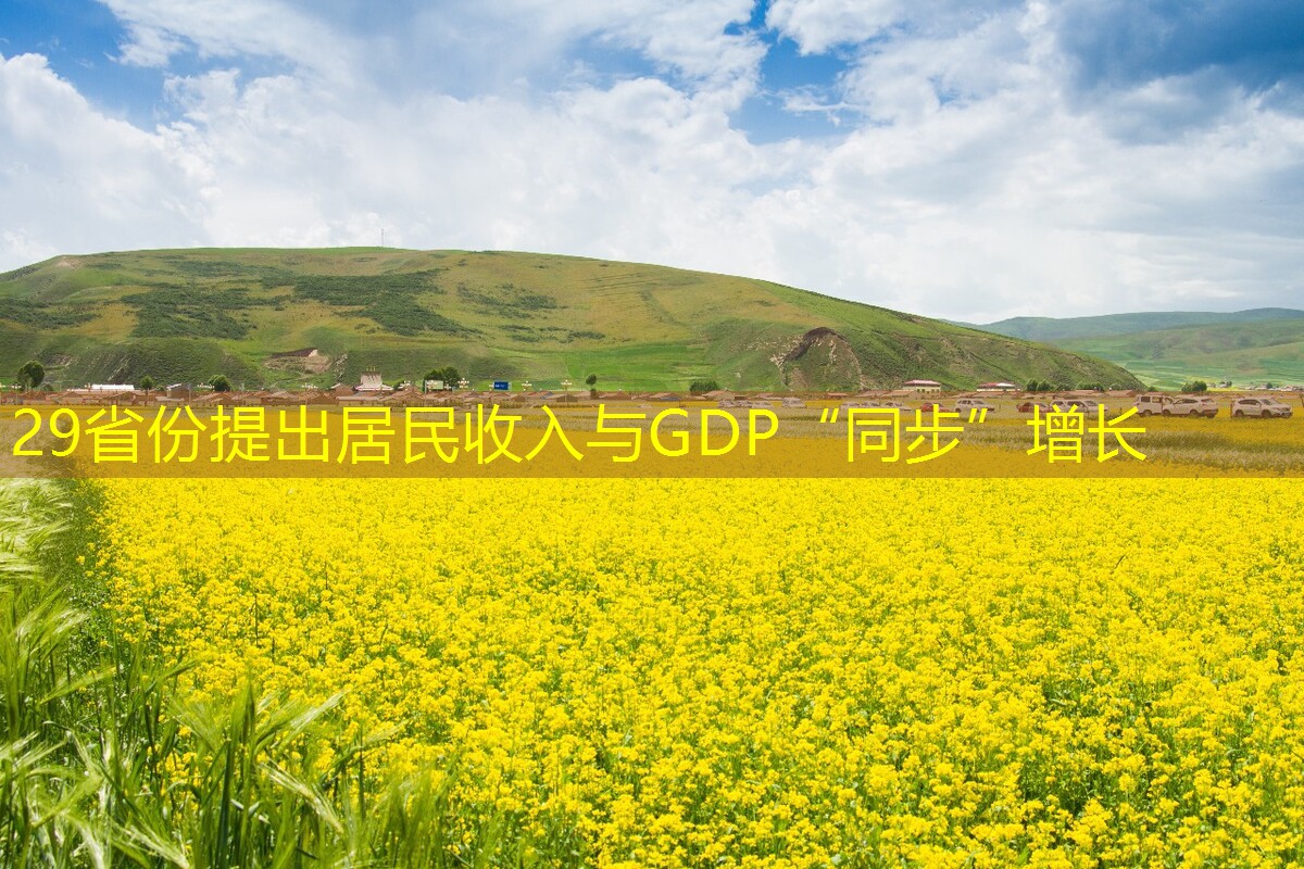 29省份提出居民收入与GDP“同步”增长