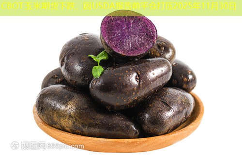 CBOT玉米期货下跌，因USDA报告前平仓打压2025年11月30日